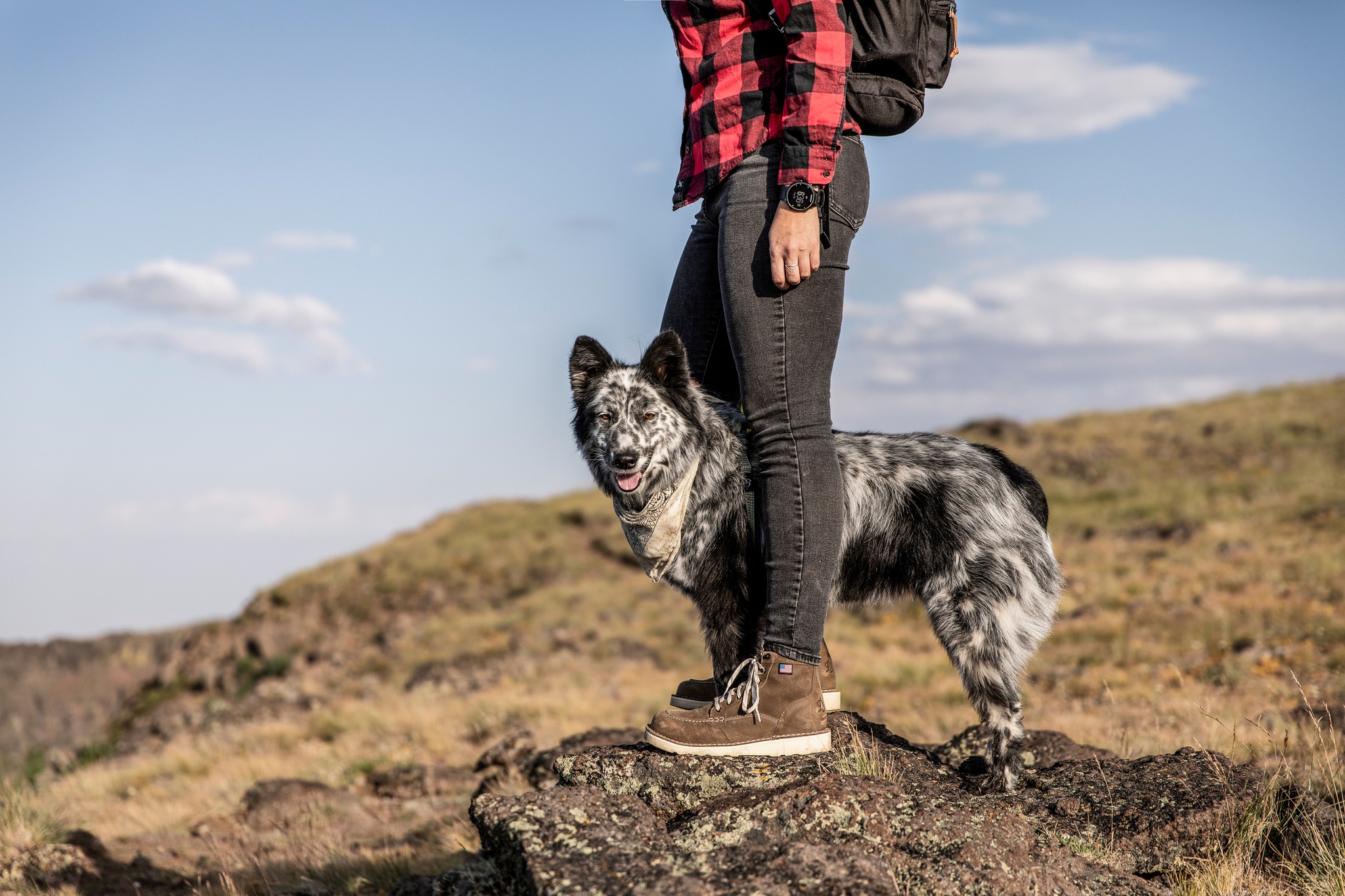 Front Page -Dannershop 28