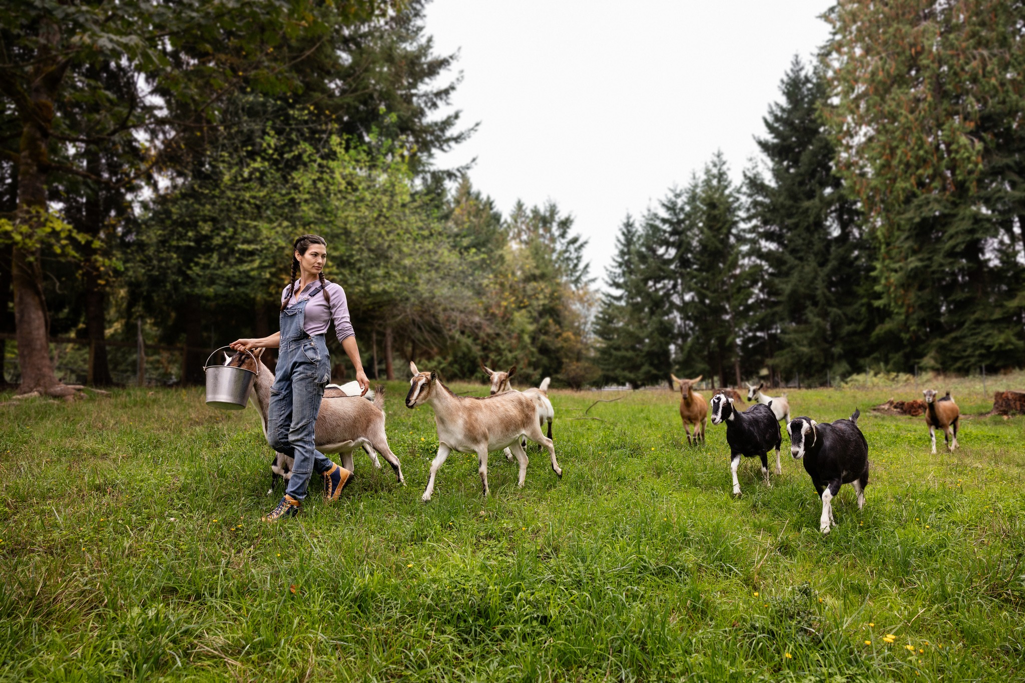 Front Page -Dannershop 29