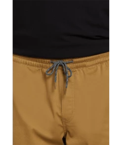 Volcom Frickin Elastic Waist Short 19" -Dannershop A1022003DKAAlternate5