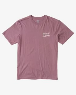 Billabong Panorama T-Shirts -Dannershop abyzt01731 billabong f plr0 bck1