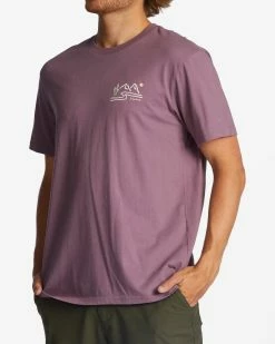 Billabong Panorama T-Shirts