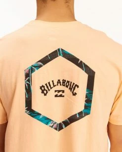 Billabong Access T-Shirt -Dannershop m4043bac billabong w lpc dtl2