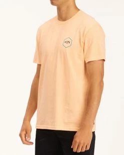 Billabong Access T-Shirt -Dannershop m4043bac billabong w lpc sd1